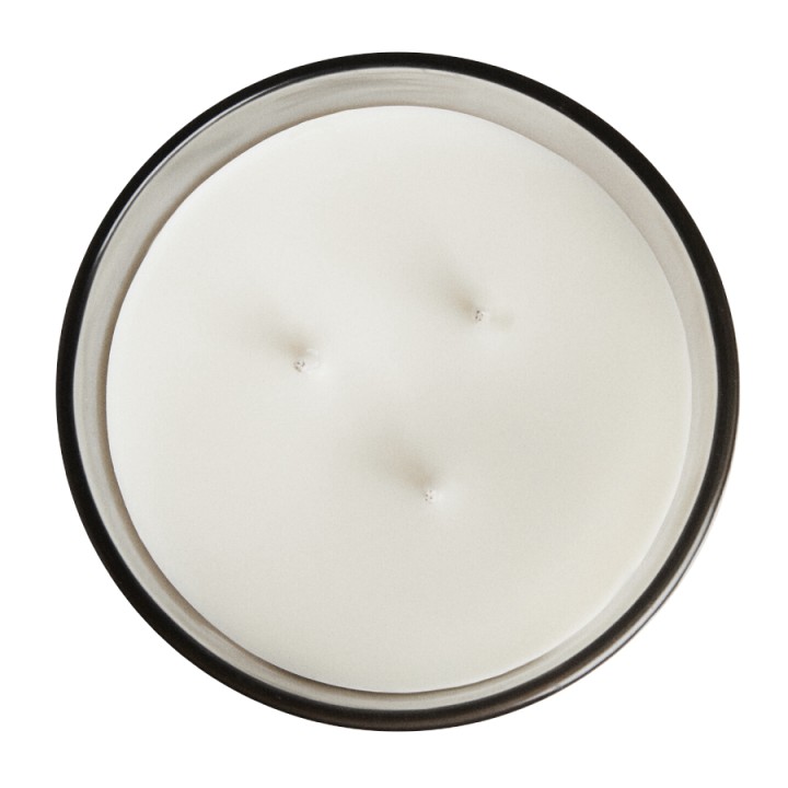 EDC CANDELA APPLE PIE VASO 460G